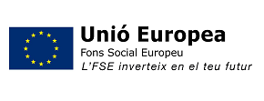 Fons Social Europeu (FSE)